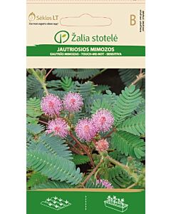 Срамежлива Мимоза розова / MIMOSA, SENSITIVE PLANT ROSE / SK - 0,3 г