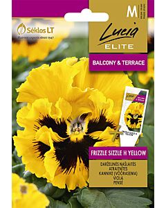 Семена Теменужки / FRIZZLE SIZZLE H/ 'SK-1 оп 25 гр