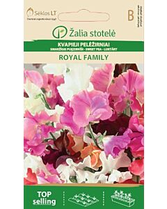 Семена Декоративен грах / SWEET PEA ROYAL FAMILY / 'SK -1 оп