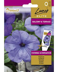 Семена Петуния / EVENING SCENTSATION / 'SK-1 оп 6 гр