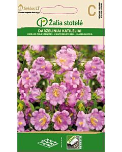 Камбанки розови кичести /BELLFLOWER CANTERBURY, PINK/ SK - 0,3 г