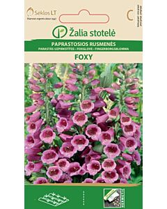 Семена Напръстник-пурпурен / PURPLE FOXGLOVE FOXY / 'SK -1 оп