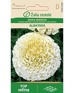 Тагетес бял / MARIGOLD, AFRICAN ALBATROS / SK - 0,3 г