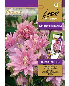 Семена Аквилегия розе / COLUMBINE, CLEMENTINE ROSE / SK - 10 семена