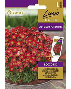 Каменоломка червена / SAXIFRAGA ROCCO RED / SK - 30 семена