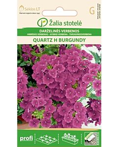 Върбинка бургунено-червена / VERBENA, QUARTZ H BURGUNDY / SK-15 семена