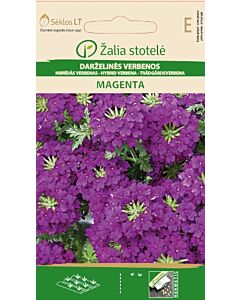 Върбинка Маджента / VERBENA, MAGENTA / SK - 0,5 г