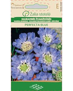 Семена Скабиоза / PINCUSHION FLOWER CAUCASIAN / 'SK -1 оп