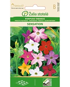 Декоративен тютюн микс /TOBACCO PLANT SENSATION MIX/ SK - 0,1 г