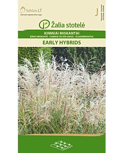семена Мискантус (Miscanthus sinensis) 'SK -1 оп
