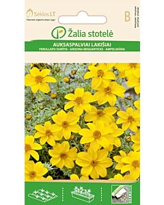 Биденс жълт / BUR-MARIGOLD, YELLOW	/ SK - 0,5 г		