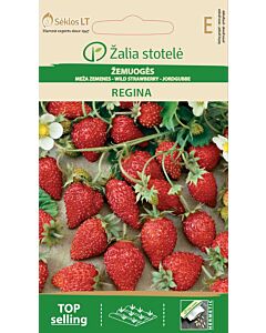 Семена Ягоди / Regina, Red berries/ 'SK - 1 оп 0,1 гр