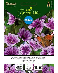 Горски слез Зебрина /COMMON MALLOW, ZEBRINA/ SK - 0,5 г 
