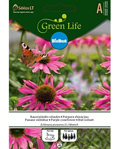 Семена Ехинацея лилава / PURPLE CONEFLOWER/ 'SK - 1 оп