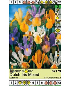 Ирис микс / Dutch Iris Mixed / 1 оп (10 бр)