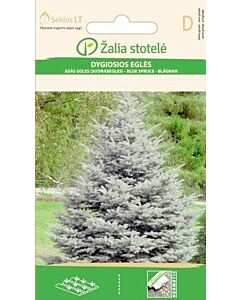 Семена Сребрист смърч / BLUE SPRUCE / 'SK -1 оп