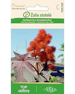 Семена Рицин / CASTOR OIL PLANT / 'SK -1 оп
