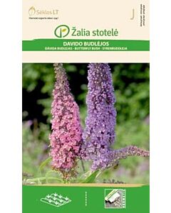 Семена Будлея, Летен люляк / BUTTERFLY BUSH / 'SK -1 оп