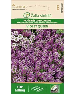 Семена Алисум виолетов / ALYSSUM VIOLET QUEEN / 'SK -1 оп