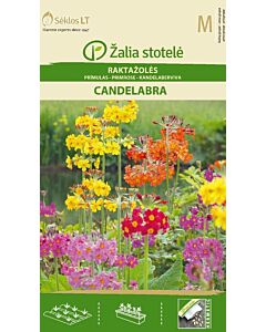 Семена Иглика / PRIMROSE CANDELABRA / 'SK -1 оп