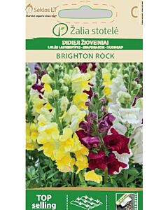 Семена Кученца / SNAPDRAGON BRIGHTON ROCK / 'SK -1 оп