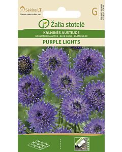 Семена Маргаритки сини / BLUE DAISY PURPLE LIGHTS / 'SK -1 оп