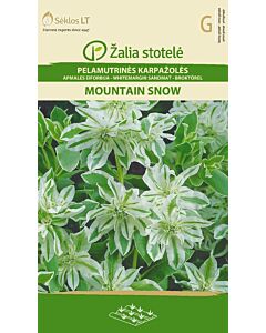 Семена Еуфорбия / MOUNTAIN SNOW / 'SK -1 оп