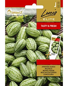 Семена Мексиканска кисела краставичка /MEXICAN SOUR GHERKIN/ 'SK-1 оп 20 гр