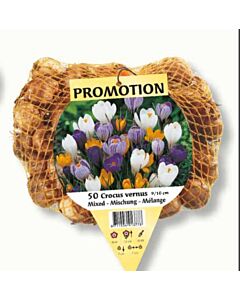 Минзухар large flowering mixed / 1 оп -50 бр