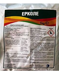 Ерколе ГР 