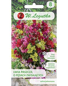 Семена Кученца каскадни микс / Antirrhinum majus pendula /LG 1 оп 