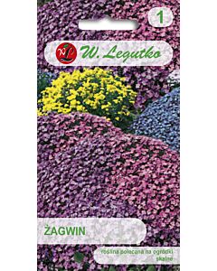 Семена Аубриета микс / Aubrieta x hybrida /LG 1 оп