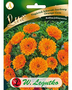 Семена Невен лекарски оранжев / Calendula officinalis Orange Gem /LG 1 оп