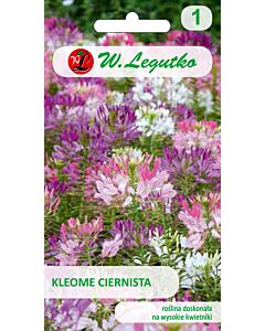 Семена Паяково цвете / Cleome spinosa mixture /LG 1 оп