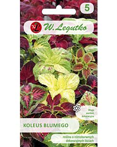 Семена Копривка Рококо / Coleus blumei Rokoko /LG 1 оп