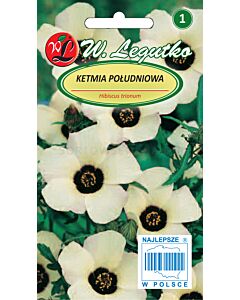 Семена Китайска роза кремава / Hibiscus trionum creamy-yellow /LG 1 оп