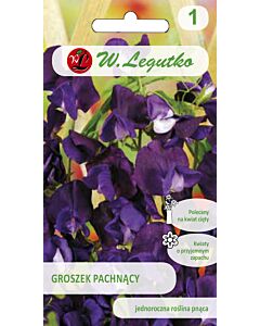 Семена Декоративен грах черешово-лилав / Lathyrus odoratus cherry-violet /LG 1 оп 