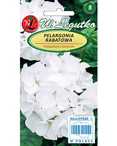 Семена Мушкато Гама F1 бяло / Pelargonium x hortorum Gama F1 white /LG 1 оп
