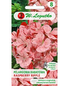 Семена Мушкато Дива F1 /Pelargonium x hortorum Divas F1 /LG 1 оп