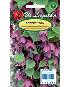 Семена Лилави камбанки / Rhodochiton atrosanguineus /LG 1 оп