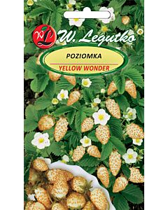 Семена Ягода жълто чудо / Alpine Strawberry Yellow Wonder /LG 1 оп