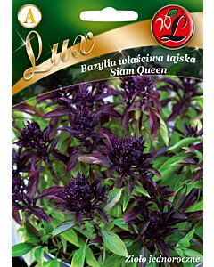 Семена Тайски босилек Сиямска Кралица / Ocimum basilicum Siam Queen green / LG 1 оп