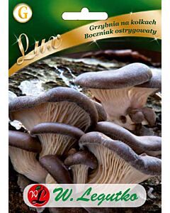 Гъби Перлена стрида / Pleurotus ostreatus /LG 1 оп