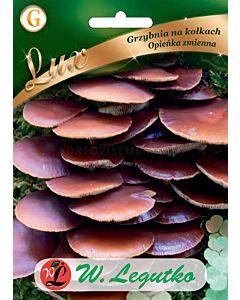 Гъби Кичуреста пънчушка / Kuehneromyces mutabilis /LG 1 оп