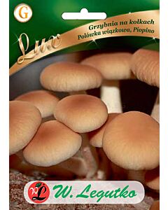 Гъби Кадифени пиопини / Agrocybe aegerita /LG 1 оп