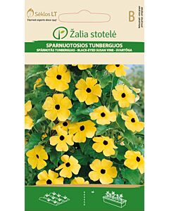 Семена Тунбергия / BLACK-EYED-SUSAN VINE / 'SK -1 оп