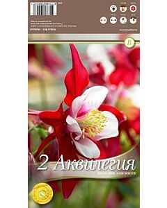 Аквилегия червена - Swan red and white