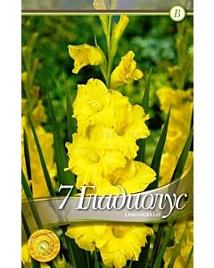 Гладиол Limonello