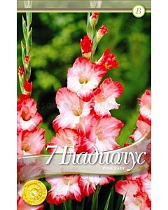 Гладиол Pink Lady
