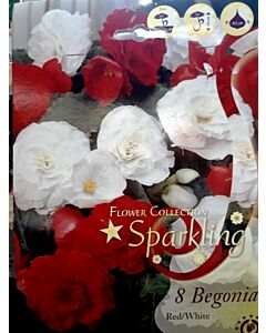 бегонии микс Sparkling (Red/White) 